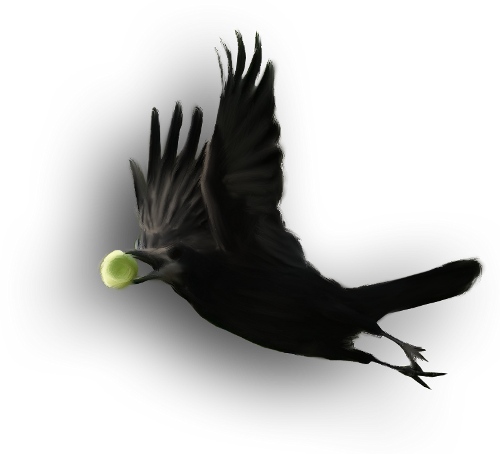 őszi állatok_94.png